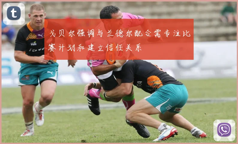 戈贝尔强调与兰德尔配合需专注比赛计划和建立信任关系